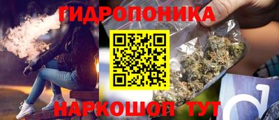стафф Моздок