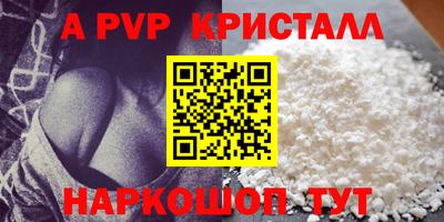 стафф Моздок