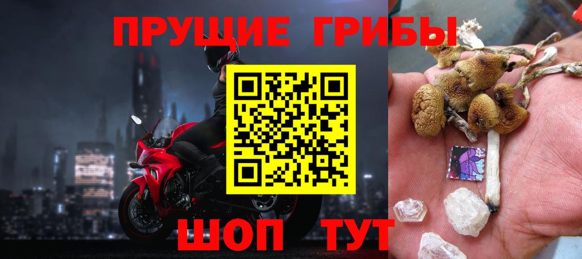 Галлюциногенные грибы Magic Shrooms Гуково